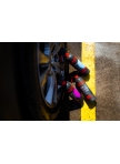 Xtra Black Trim Restorer | Juodų detalių spalvai atnaujinti